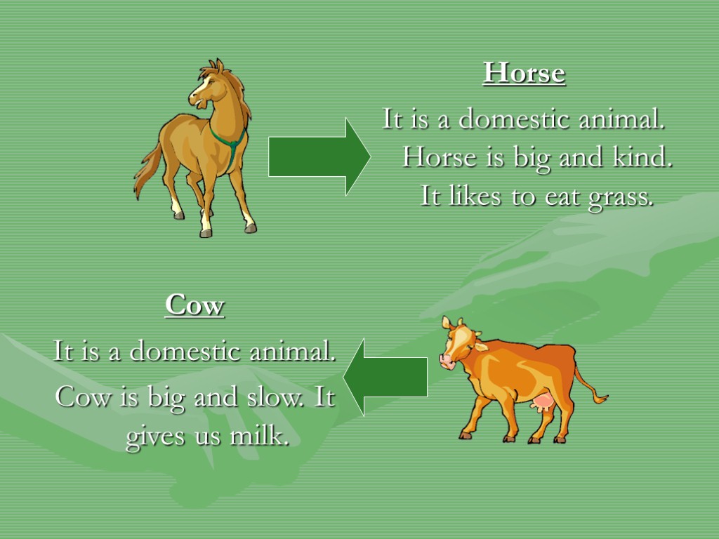 Horse It is a domestic animal. Horse is big and kind. It likes to